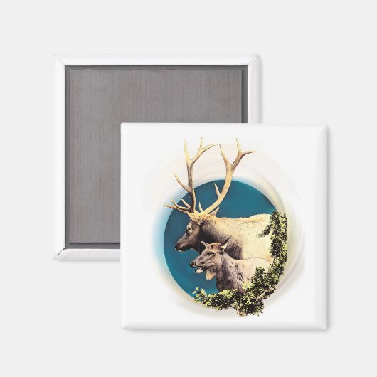 Aimant Le Cerf et la Biche (Recto/Verso)