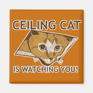 Aimant Le chat de plafond vous observe !