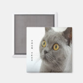 Aimant Le chat est mignon (Recto/Verso)