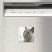 Aimant Le chat est mignon (In Situ (Lave-vaisselle))