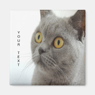 Aimant Le chat est mignon