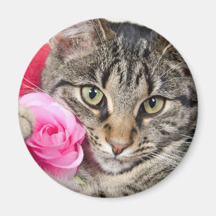 Aimant Le chat tigré mignon avec s'est levé
