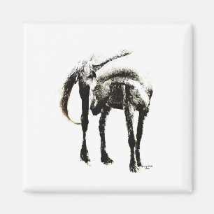 Aimant Le cheval