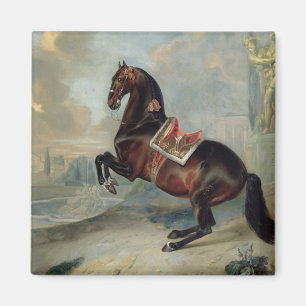 Aimant Le cheval de baie foncé 'Valido