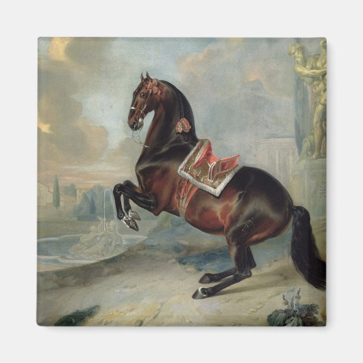 Aimant Le cheval de la baie sombre "Valido" (Devant)