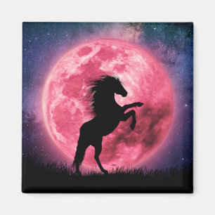 Aimant Le cheval et la lune rose