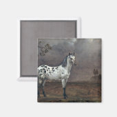 Aimant Le Cheval Piebald, 1653 (Recto/Verso)