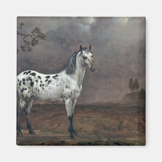Aimant Le Cheval Piebald, 1653 (Devant)