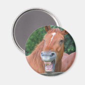 Aimant Le Cheval Raisant (Recto/Verso)