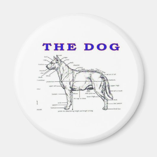 AIMANT LE CHIEN (Devant)