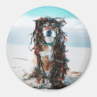 Aimant Le chien avec des algues dans les cheveux. Le pers