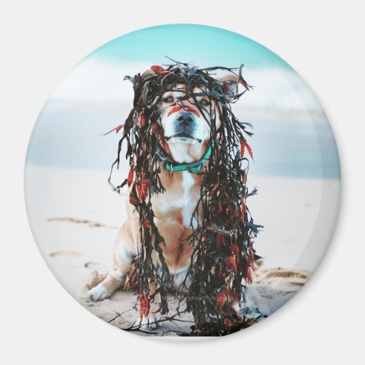 Aimant Le chien avec des algues dans les cheveux. Le pers (Devant)