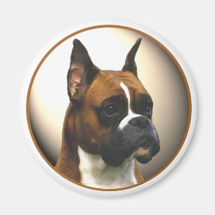 Aimant Le chien de boxe