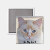 AIMANT LE CHIEN L'A FAIT (Recto/Verso)