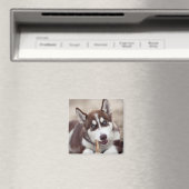 Aimant Le chiot sibérien Husky à la plage (In Situ (Lave-vaisselle))
