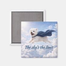 Le ciel est la limite