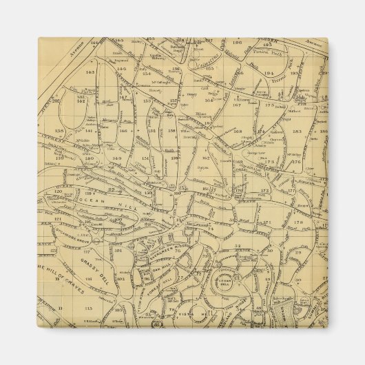 Aimant Le cimetière de bois vert (Devant)