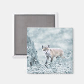 Aimant Le club Fox dans la neige (Recto/Verso)