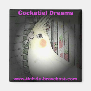 Aimant Le Cockatiel rêve l'aimant