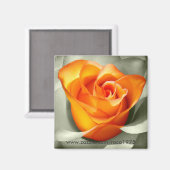 Aimant Le coeur d'une rose (Recto/Verso)