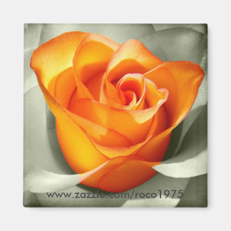 Aimant Le coeur d'une rose