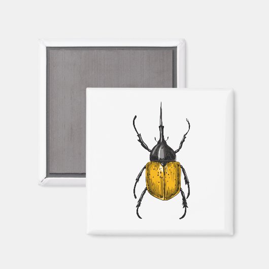 Aimant Le coléoptère d'Hercules (Recto/Verso)