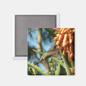 Aimant Le colibri de Chine noire en vol (Recto/Verso)