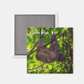 Aimant Le Costa Rica - paresse heureuse (Recto/Verso)