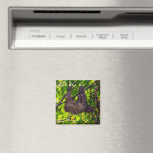 Aimant Le Costa Rica - paresse heureuse (In Situ (Lave-vaisselle))