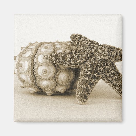 Aimant Le couple étrange (Devant)