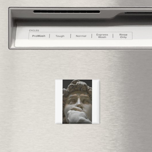 Aimant Le David (In Situ (Lave-vaisselle))