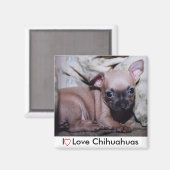 Aimant Le délice de Chihuahua Lover (Recto/Verso)