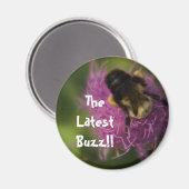 Aimant Le dernier buzz ! ! (Recto/Verso)