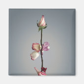 Aimant Le dernier pétal... (Devant)