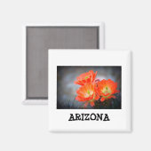 Aimant Le désert brûle Arizona (Recto/Verso)