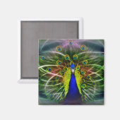 Aimant Le Dreamcatcher de Peacock (Recto/Verso)