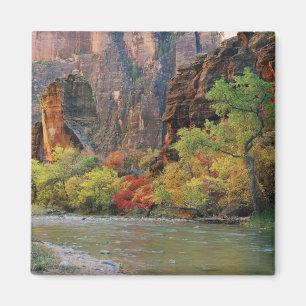 Aimant Le feuillage d'automne le long de la rivière Virg