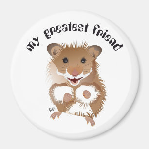 Aimant Le Hamster my little friend