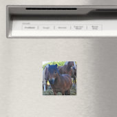 Aimant Le Herdmaster Maganet (In Situ (Lave-vaisselle))