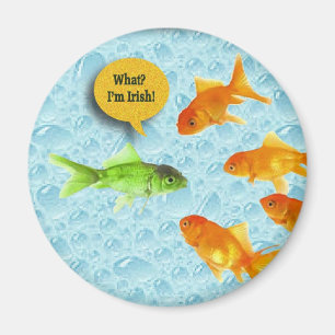 Aimant Le jour de St Patrick, humour de poisson rouge