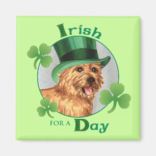 Aimant Le jour Norwich Terrier de St Patrick