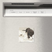 Aimant Le labrador brun chocolat. (In Situ (Lave-vaisselle))