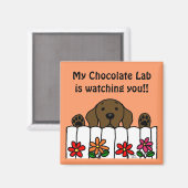 Aimant Le Labrador du chocolat vous observe (Recto/Verso)