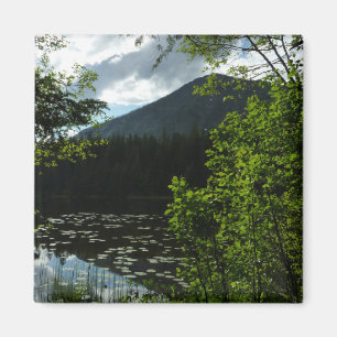 Aimant Le lac Johns I au parc national de Glacier