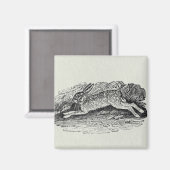 Aimant Le lièvre (Recto/Verso)