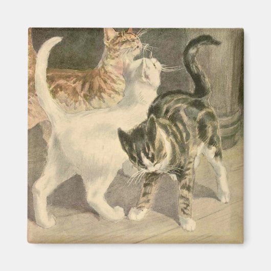 Aimant Le livre du chat : Dot's Beetles (Devant)