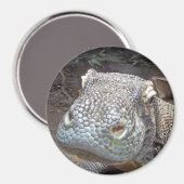 Aimant Le look Komodo (Recto/Verso)