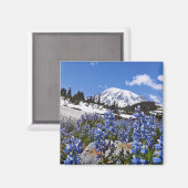 Aimant Le Mont Rainier à Paradise Point (Recto/Verso)