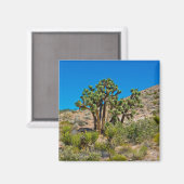 Aimant Le Monument national de Gold Butte (Recto/Verso)