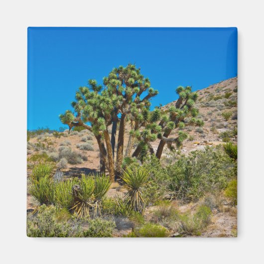 Aimant Le Monument national de Gold Butte (Devant)